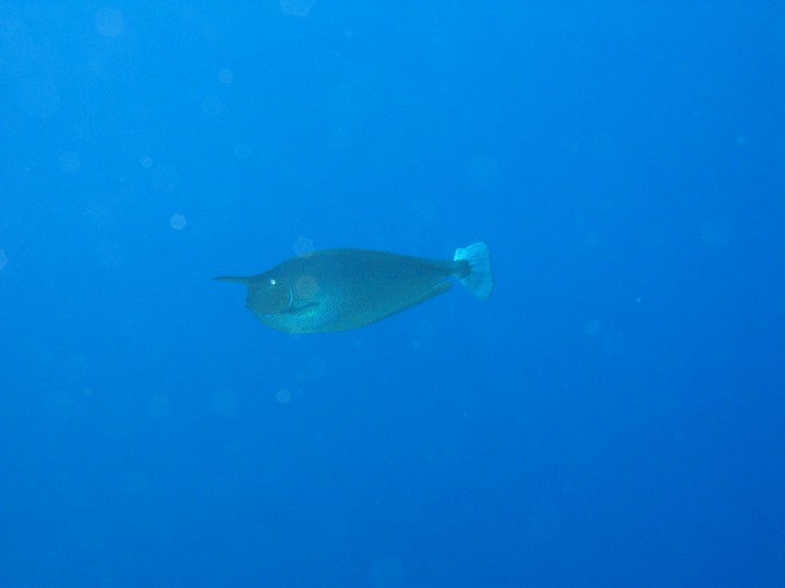IMG_4582.JPG