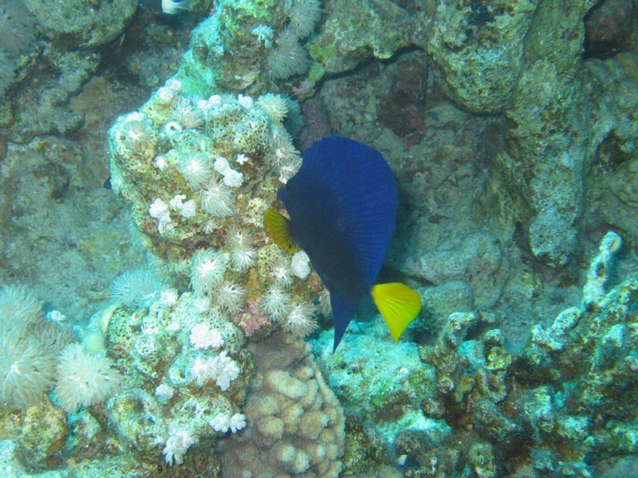 IMG_4604.JPG