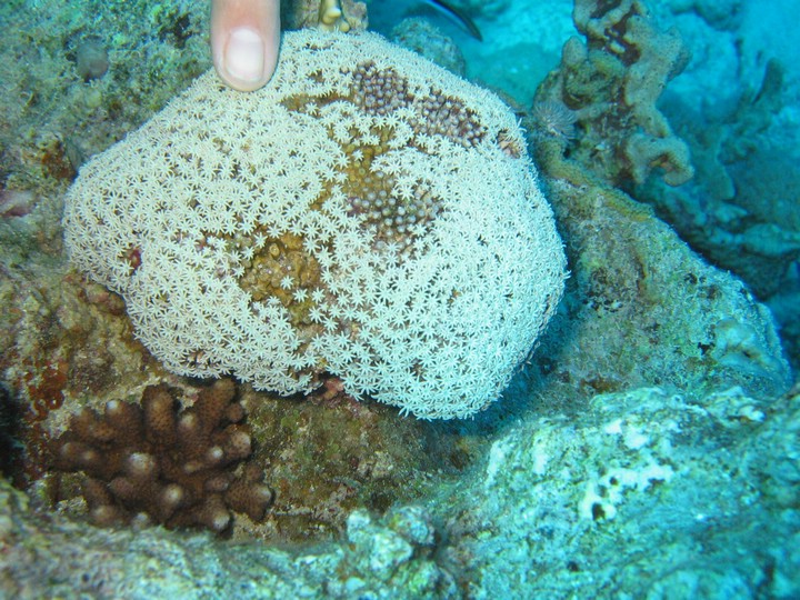 IMG_4613.JPG