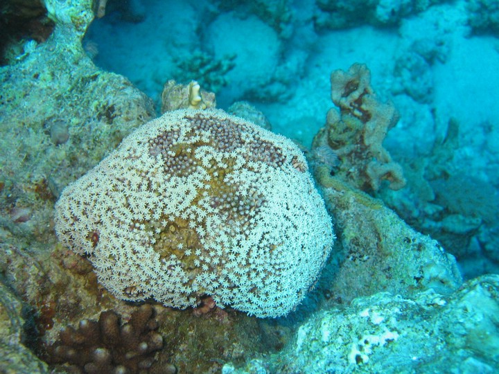 IMG_4614.JPG