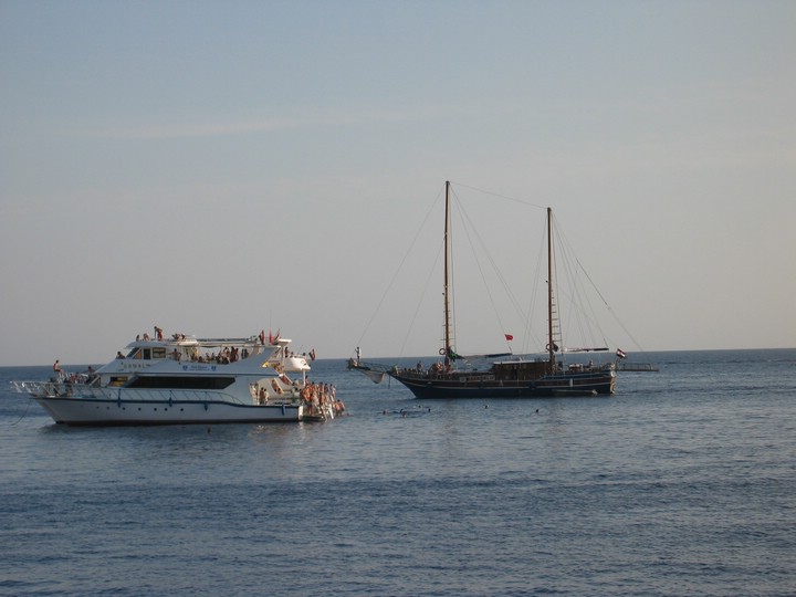 IMG_4632.JPG