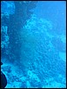 IMG_4558.JPG