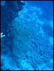 IMG_4559.JPG