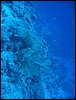 IMG_4561.JPG