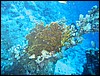 IMG_4563.JPG