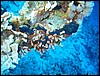 IMG_4564.JPG