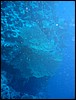 IMG_4565.JPG