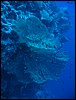 IMG_4566.JPG