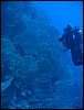 IMG_4570.JPG