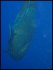IMG_4577.JPG