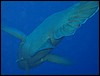 IMG_4578.JPG