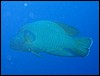 IMG_4579.JPG