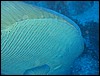 IMG_4581.JPG