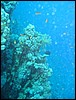 IMG_4596.JPG