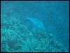 IMG_4599.JPG