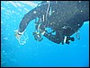 IMG_4616.JPG