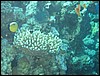IMG_4620.JPG