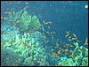 IMG_4621.JPG