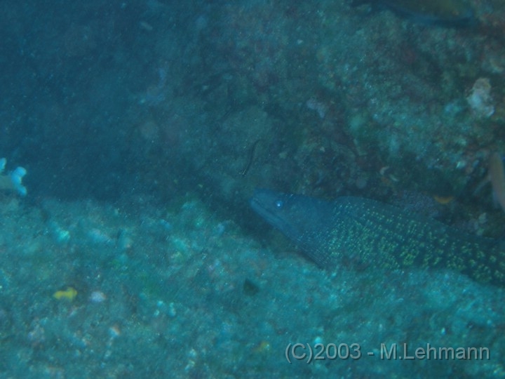 IMG_2501.JPG