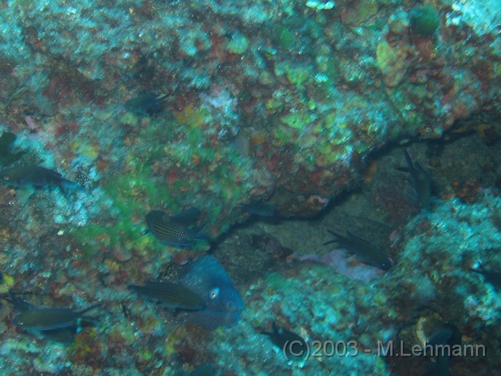 IMG_2524.JPG