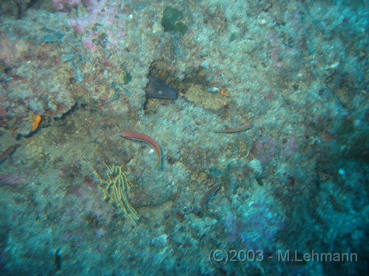 IMG_2829.JPG