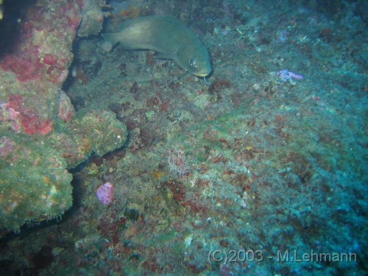 IMG_2838.JPG