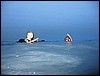 IMG_5787.JPG