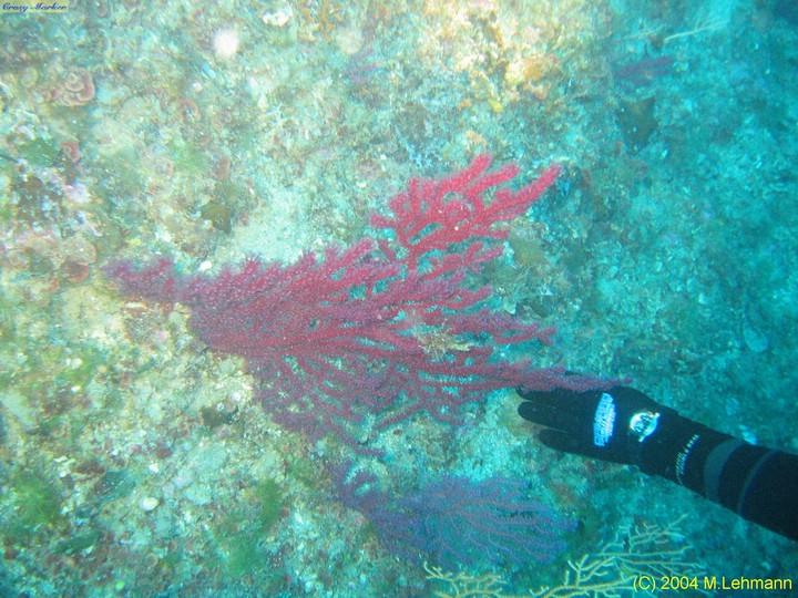 IMG_5809.JPG