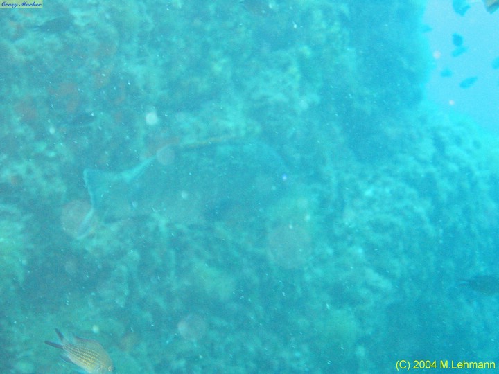 IMG_5863.JPG