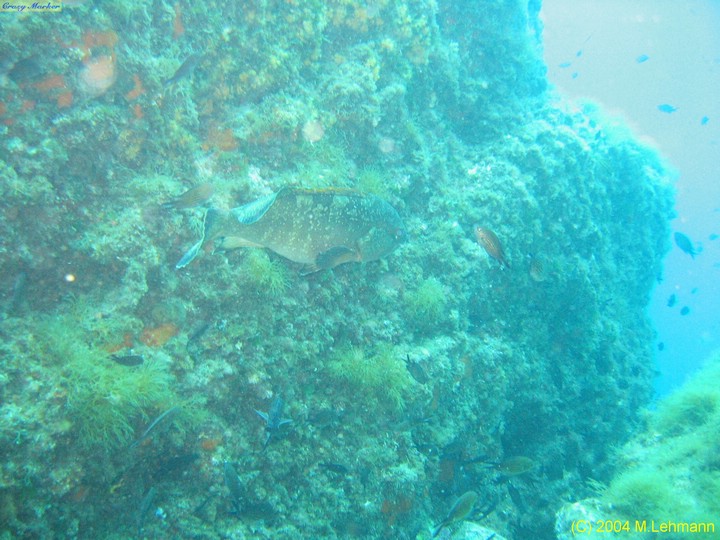 IMG_5864.JPG