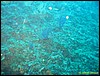 IMG_5807.JPG