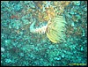 IMG_5839.JPG
