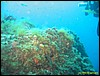 IMG_5840.JPG