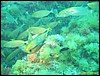 IMG_5850.JPG