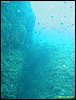 IMG_5860.JPG