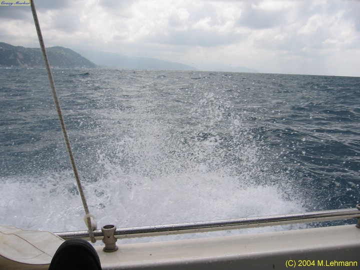 IMG_5888.JPG