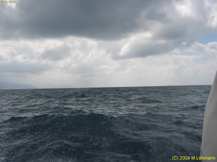 IMG_5892.JPG