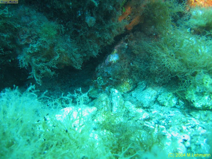 IMG_5896.JPG