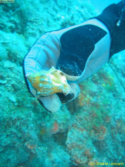 IMG_5912.JPG