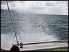 IMG_5888.JPG