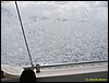 IMG_5889.JPG