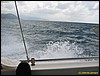IMG_5890.JPG