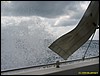 IMG_5891.JPG