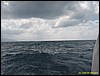 IMG_5892.JPG