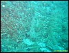 IMG_5900.JPG