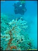 IMG_5904.JPG