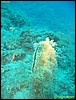 IMG_5905.JPG