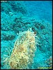 IMG_5906.JPG