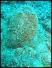 IMG_5908.JPG