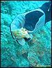 IMG_5912.JPG